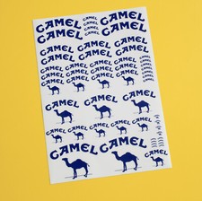 RC 10th 1/10 Echelle Chameau