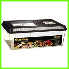 Durable Plastic Reptile
