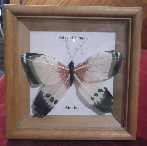 Papillon vintage monté - , en