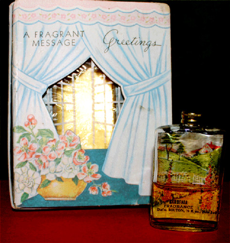 Gardenia fragance a floral - fragance,