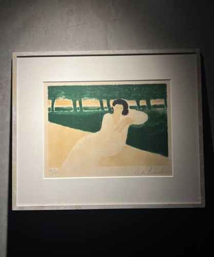 Andre brasilier signed - andre,