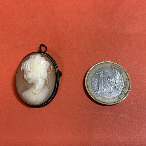 Magnifique broche pendentif - magnifique, broche/pendentif