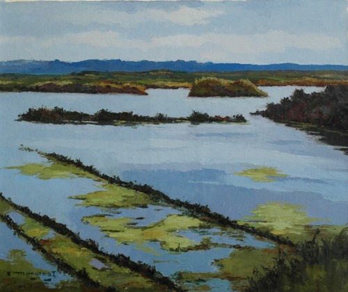 Emile mangenot marais salant - emile,