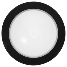  Bache Bassin Poisson Petit