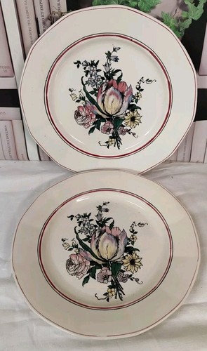 Assiettes plates digoin - 2,