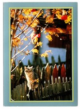 CPM: Chat Tigré assis sur une Palissade, Photo P. Putelat