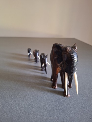 Famille éléphants en - famille, de