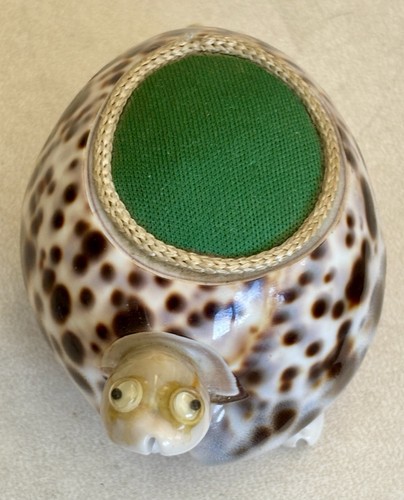 Vintage tortue coquillage - vintage,