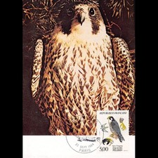 Carte Maximum v3 - N° 2340 -