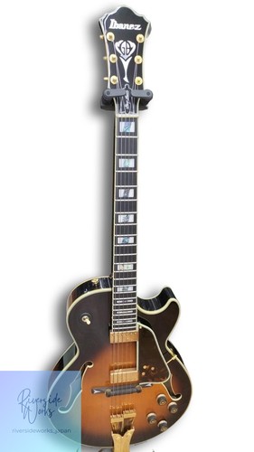 Guitare acoustique complète