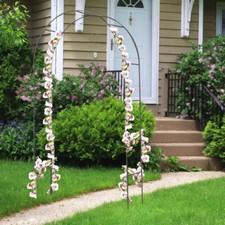 Liane Grille Roses Arc Jardin