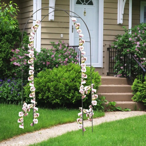 Liane grille roses - grille, arc