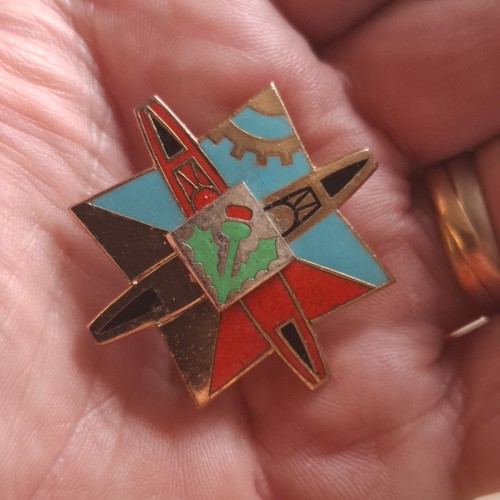 Insigne germas nancy - insigne,