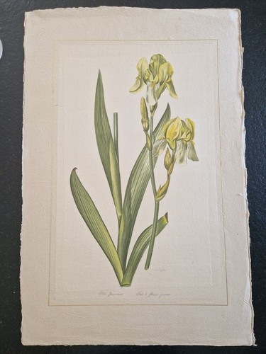 Roche laffitte aquarelle - la,