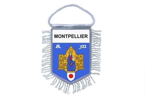 Fanion mini drapeau - fanion,