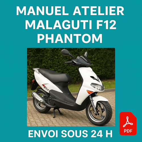 Manuel atelier malaguti f12 - malaguti,
