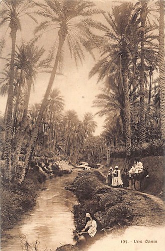 Tunisie une oasis - -,