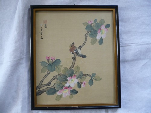 Aquarelle oiseau branche sur - oiseau,