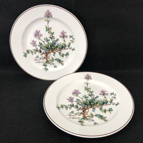 Vtg villeroy boch - &, botanica
