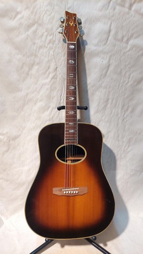 Yamaki daion 55e acoustic - yamaki,