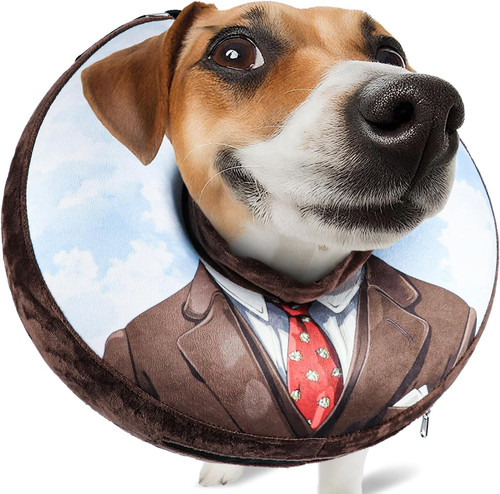 Collier gonflable pour chien - collier,