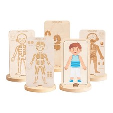 Jeu d'anatomie du corps