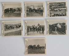 fin 1930 1940 HIPPISME série