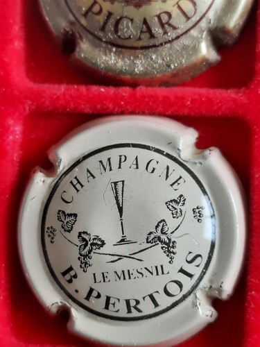 Capsule muselet champagne - capsule,