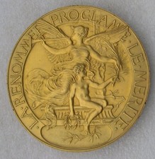 MEDAILLE TOULOUSE 1891