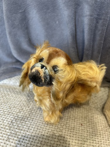 Sympathique chien steiff - chien,