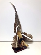 farce, véritable oiseau