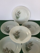 6 assiettes creuses ARCOPAL