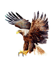 6 x autocollants de voiture