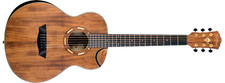Guitare Acoustique Washburn