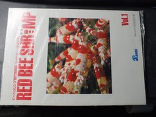 22$$ Revue RED BEE SHRIMP Vol 1 revue aquariophile sur CREVETTES en Japonais