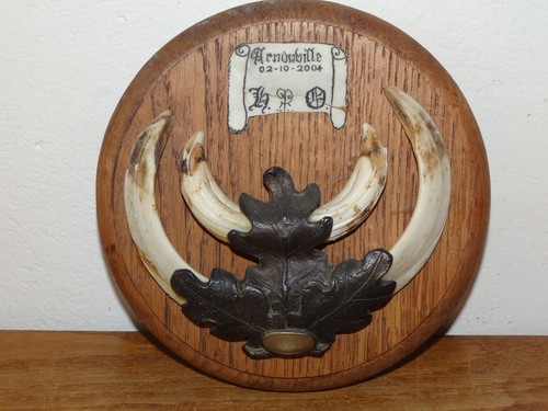 Ecusson trophée sanglier - ecusson, de