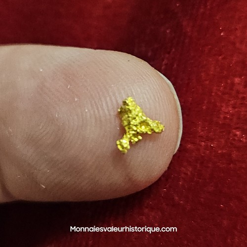 Pépite naturelle - d’or,