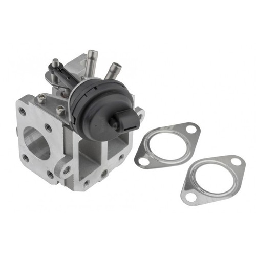Vanne egr pour seat - egr,