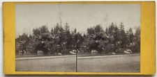 Bois de Boulogne Rochers Paris Photo n°PL40L7 Stereo Vintage Albumine 