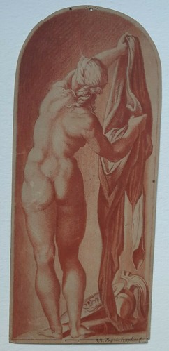 Curiosa dessin original signé - curiosa,