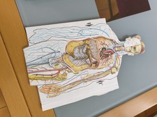 Encyclopédie Médicale - Docteur Maurice Gaucher - EO QUILLET  (1965) 