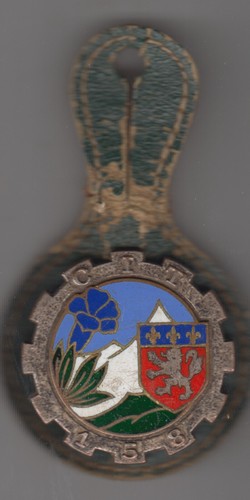 Insigne dia cit - insigne,