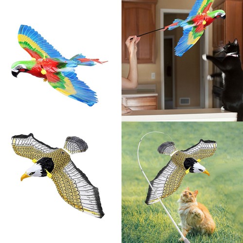 Simulation oiseau interactive - oiseau,