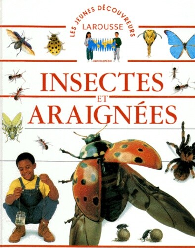 Insectes araignées - insectes, et