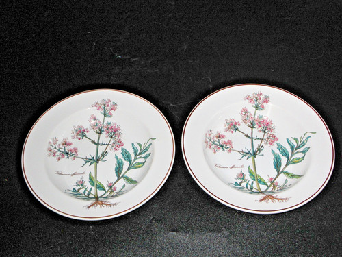 Villeroy boch botanica - villeroy, &
