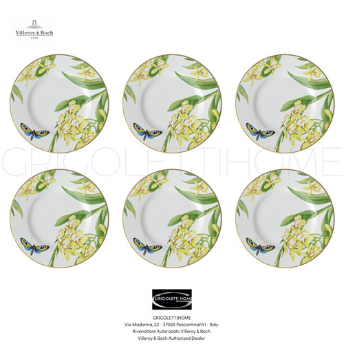 Villeroy boch amazonia - -,