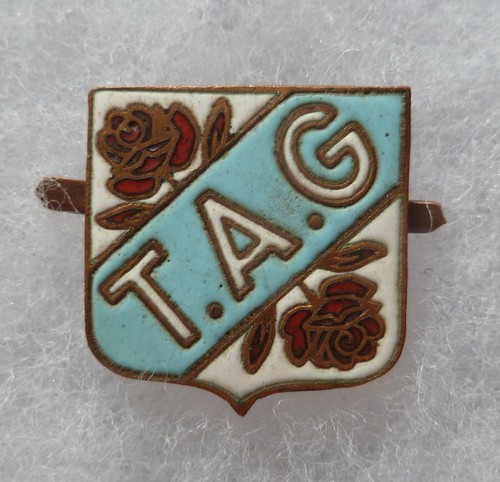 Insigne boutonnière tag - insigne,