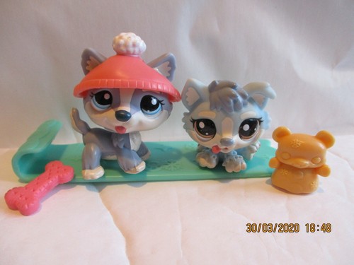 Petshop duo sleddin - :, fun