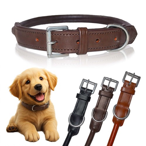 Sie collier pour chien - sie, cuir