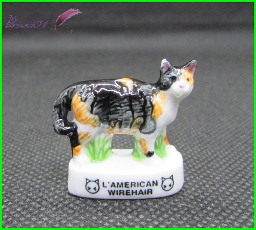 Feve les races chat cat - les,